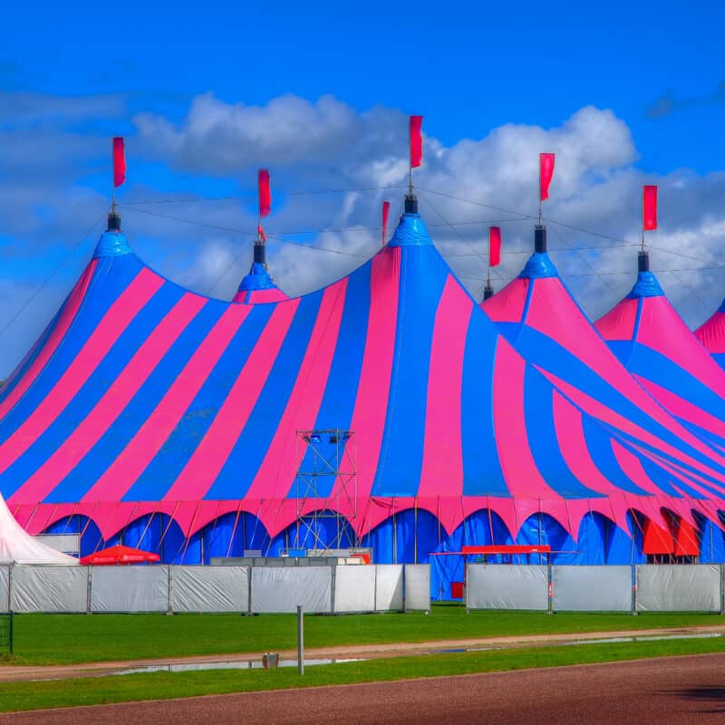 Pink and Blue Big Top Circus Tent