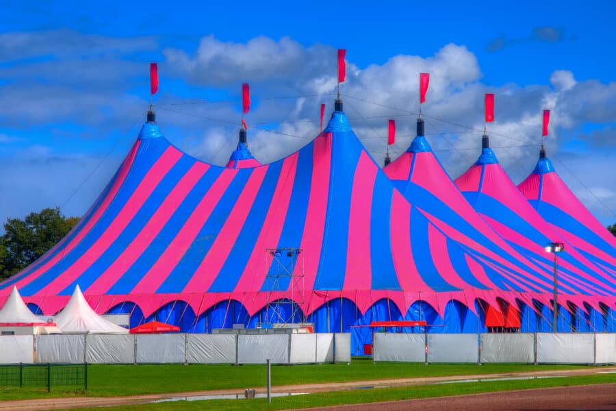 Pink and Blue Big Top Circus Tent
